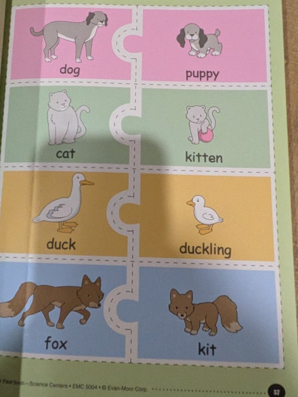 Pre-K Science Learning Activity Books - Picture 4 of 10